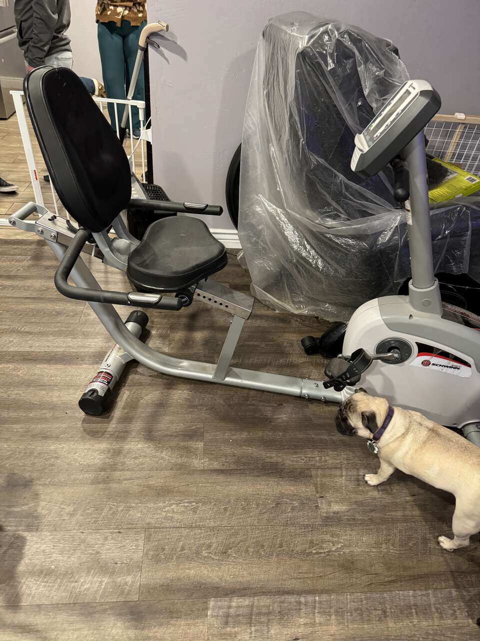 Free recumbent bike FREE