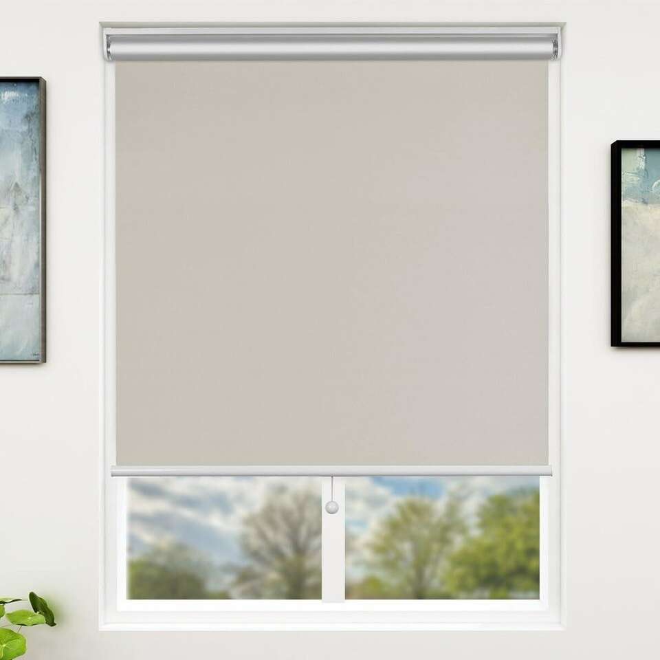 Cordless Blackout Window Blinds w/ Thermal