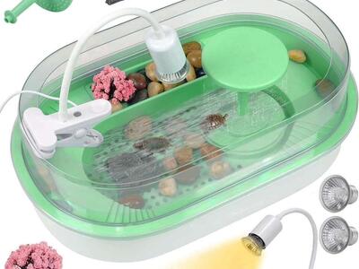 Turtle Tank with Lighting Rain Shower (Green)