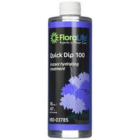 16oz Floralife Smither Oasis Quick Dip 100 Instant