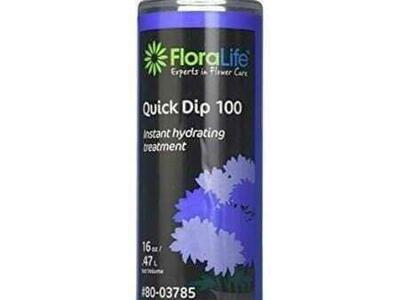 16oz Floralife Smither Oasis Quick Dip 100 Instant