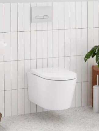 In-Wall Toilet Bowl