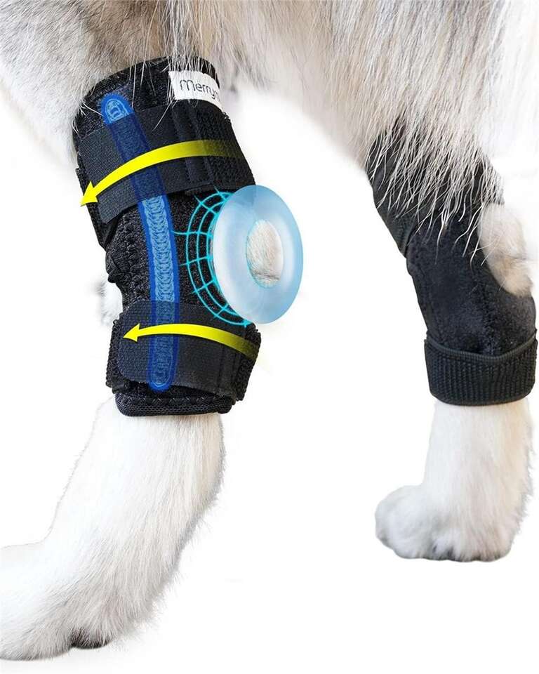 MD Dog Leg Brace Rear Hock & Ankle - Pair