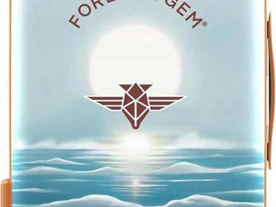 20in Carry On Suitcase Hardshell w/ Spinner Wheels