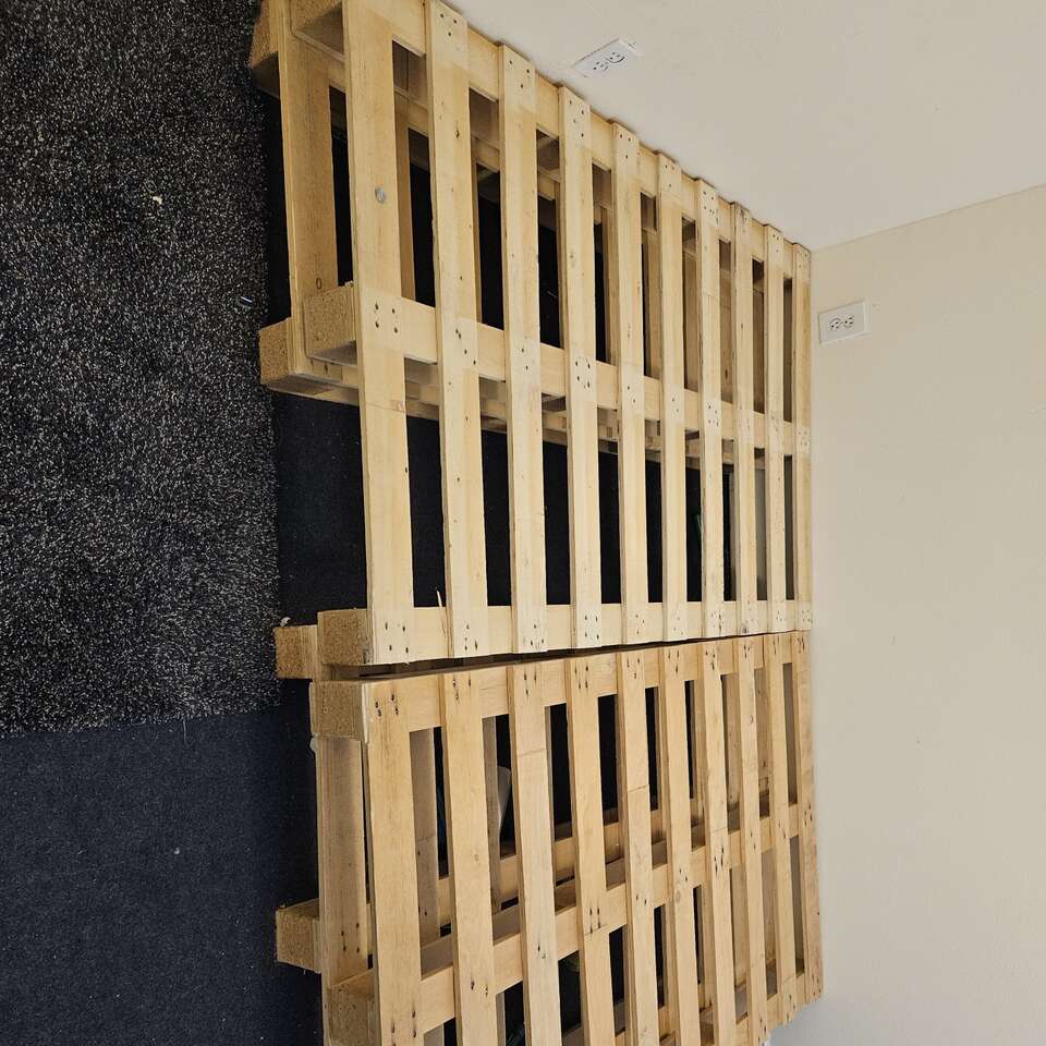 Free huge bed pallets FREE