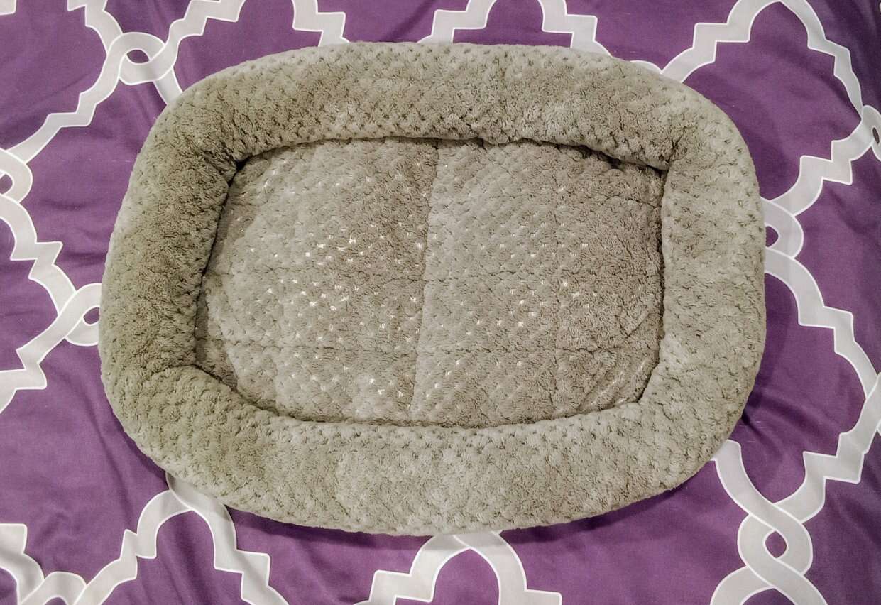 Vibrant Life pet bed