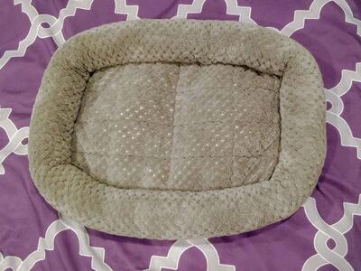 Vibrant Life pet bed