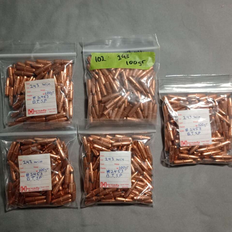 Hornady bullets