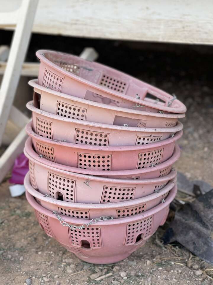 16” Ultimate Planter Hanging Baskets