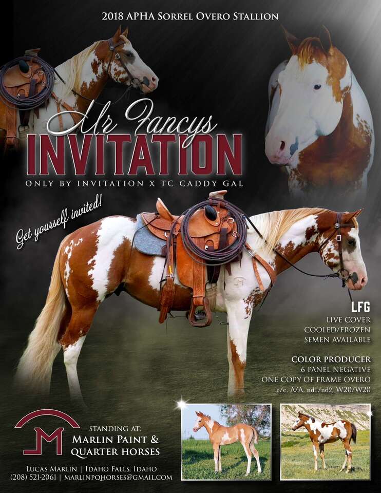 Mr Fancys Invitation