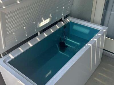 Ice Bath Deep Chest Freezer Cold Plunge