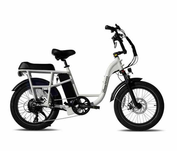 Happy EBike Voyager 2 Person 750 Watt Cycling ksl