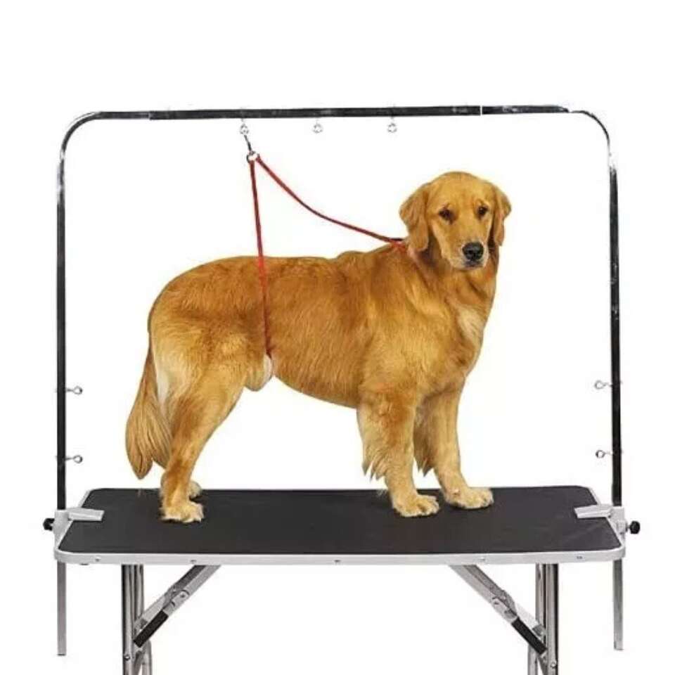 TP14634 overhead grooming arm 48" master equipment