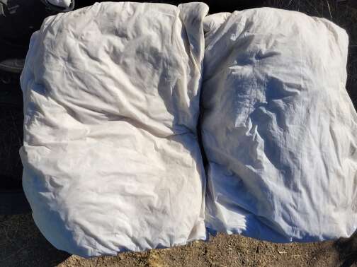 2 washed feather pillows (22 x 18 inches). I decided not to use feathers because I became a vegan