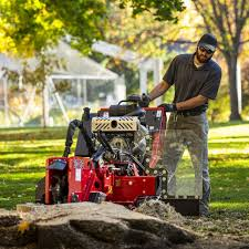 Stump Grinder Rentals