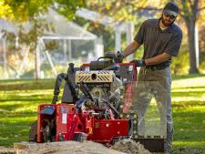 Stump Grinder Rentals