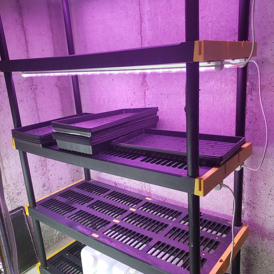 Microgreen or seed starting gro… Home and Garden