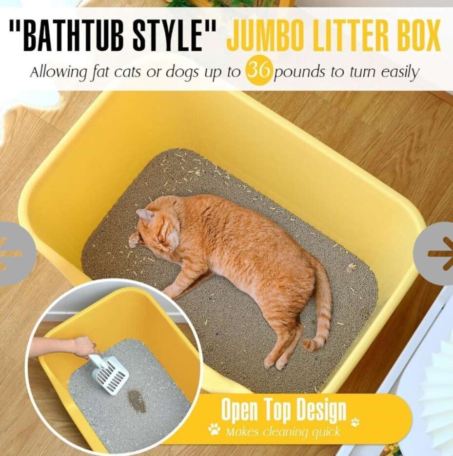 Extra Large Litter Boxes with Scoop