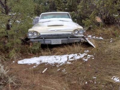 1964 and 65 Ford t birds