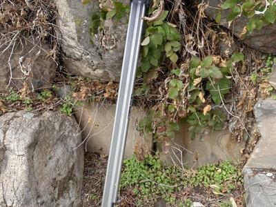 Rhino Rack Tray Bike Mount