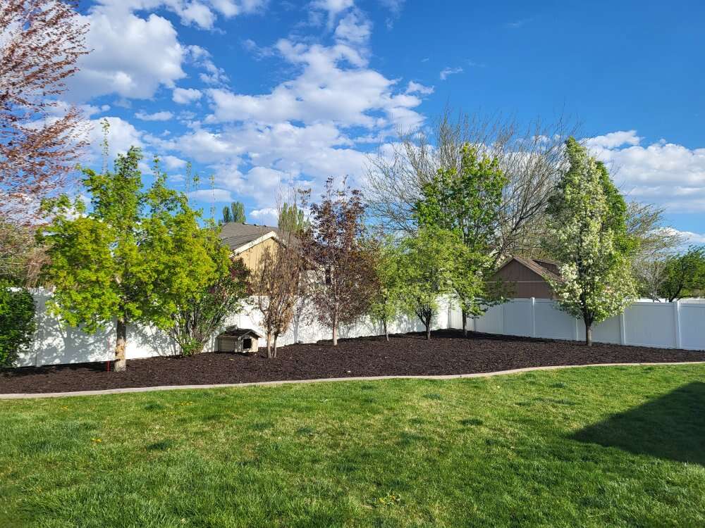 Roll off dumpster rental.