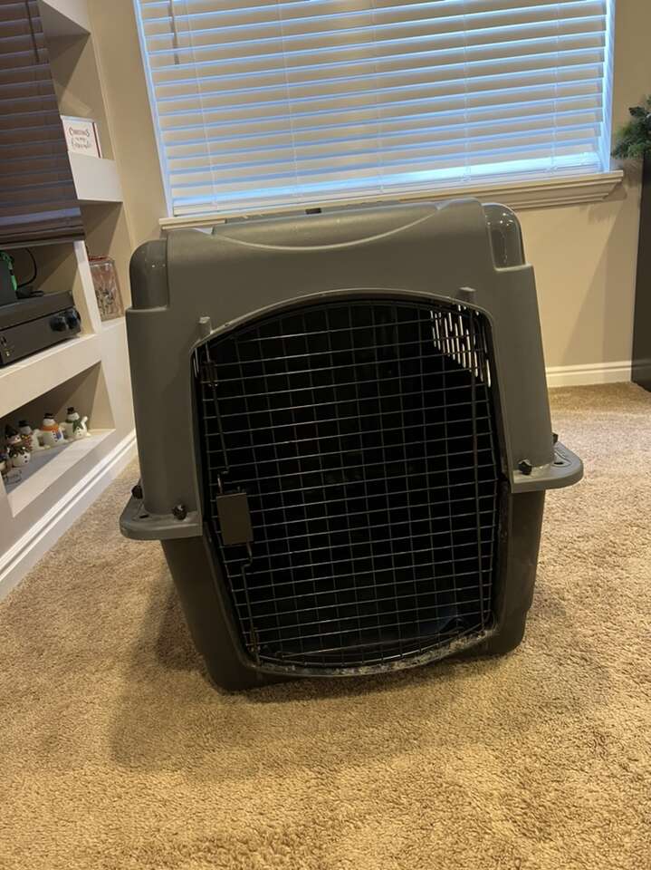 Large Breed Petmate Pet Porter Dog Crate Pets