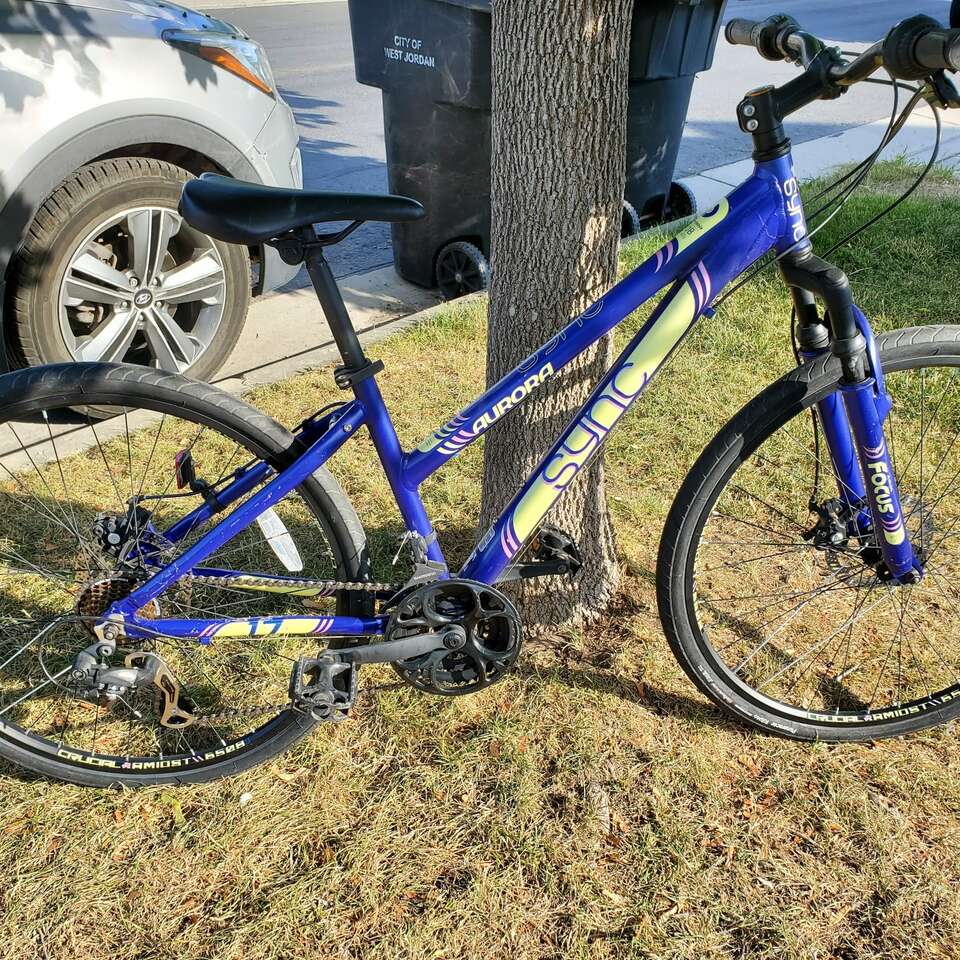 Aurora Sync neighborhood bike (SM) $40 obo