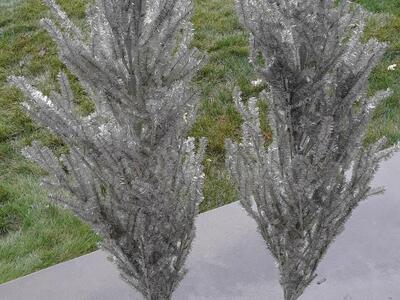 Set of Shine Silver Decorative Christmas Trees