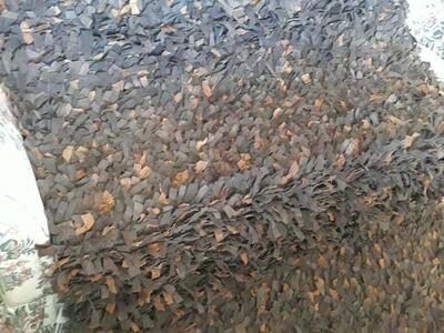 SAFAVIEH Handmade Leather Shag Ceciel Midern Rug