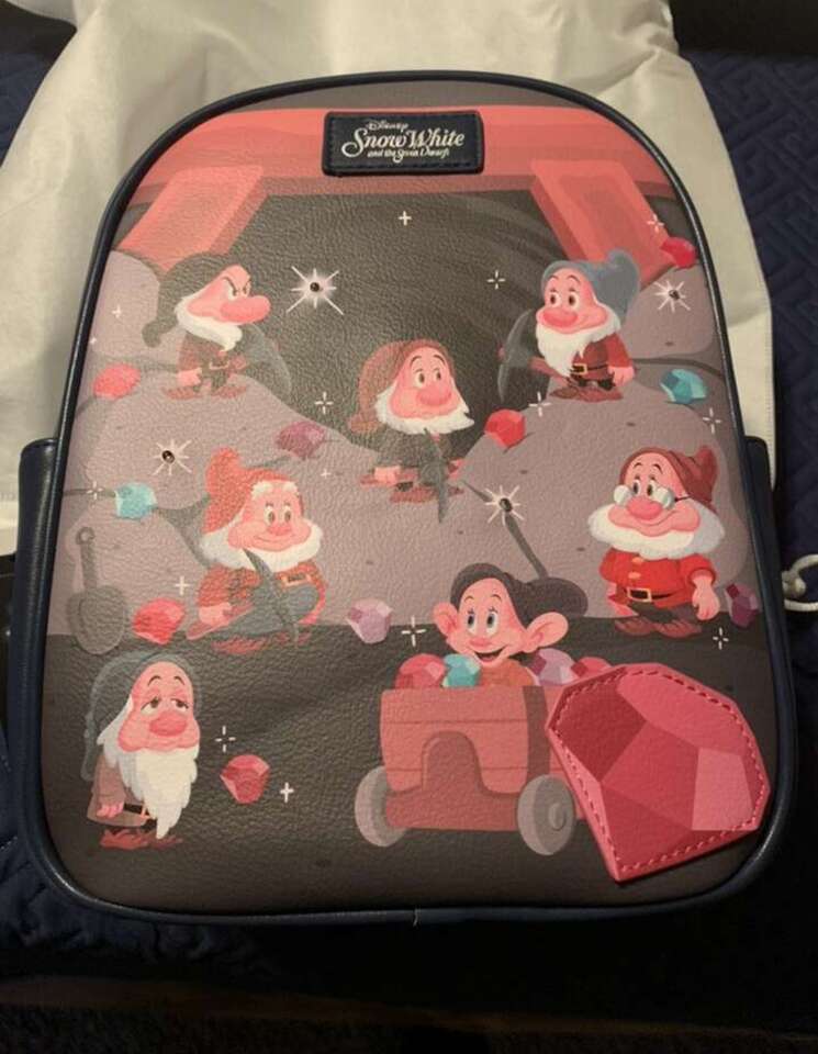 7 Dwarfs Mini Backpack New