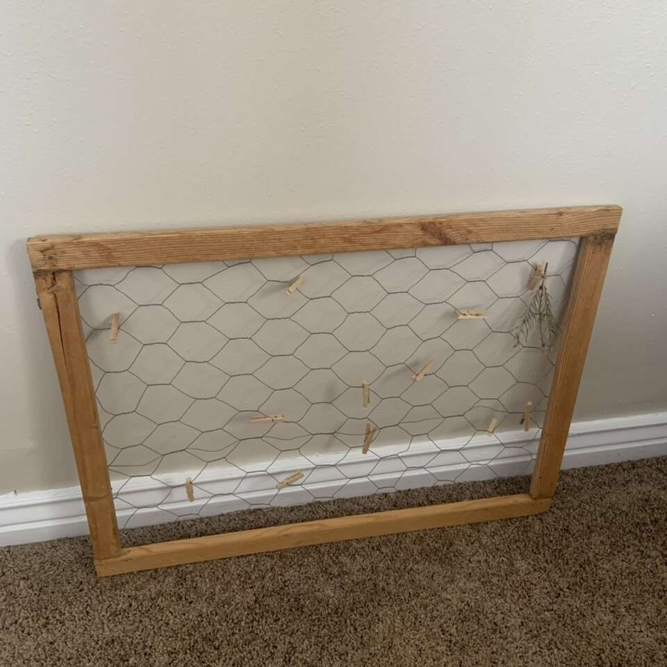 Vintage Polaroid Chicken Wire Frame 21.5” X 29”