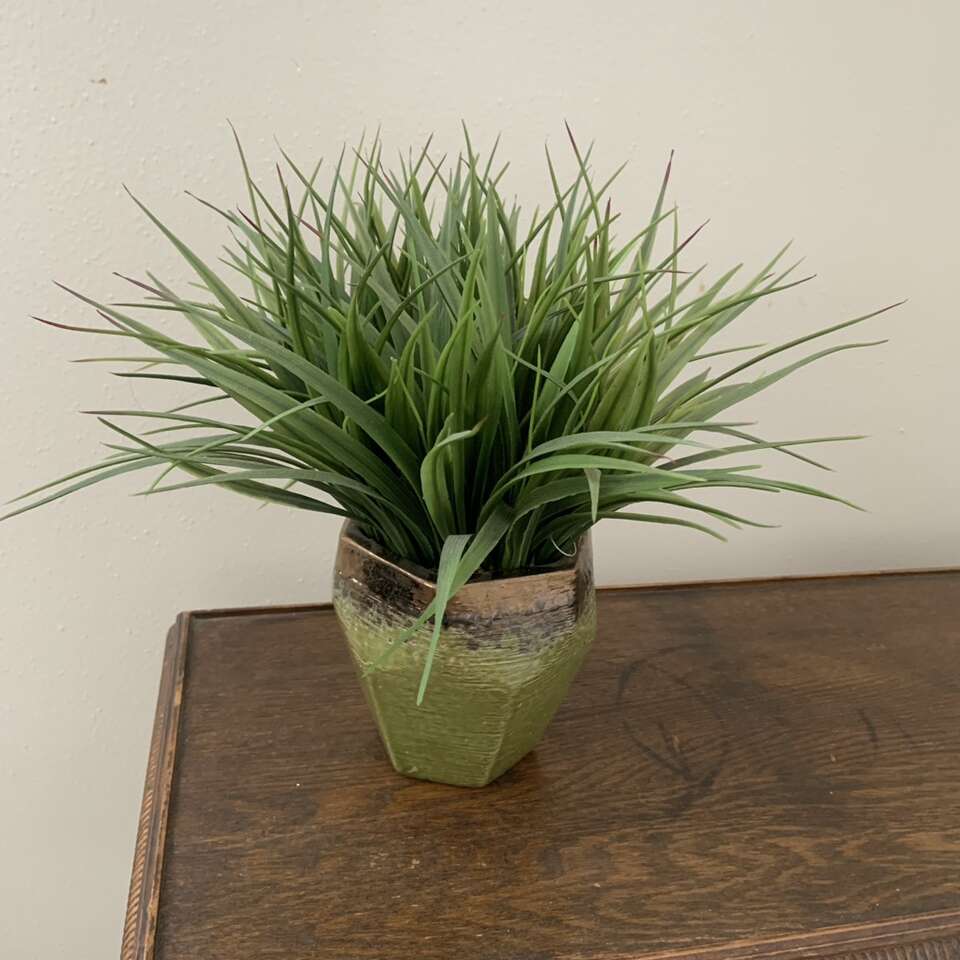 Faux Fake Green Spike Plant in Ceramic Pot