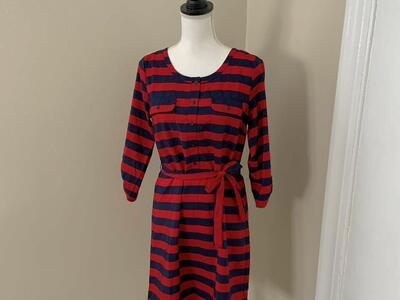 Gap Blue & Red Striped Button Up Dress Small