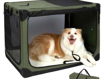 Pettycare 36 Inch Stainless Steel Collapsible Dog Crate