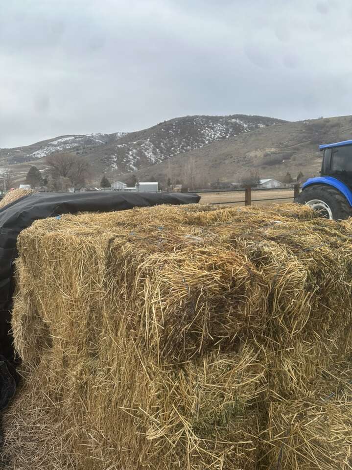 Grass Alfalfa Hay Mix | Livestock | ksl.com