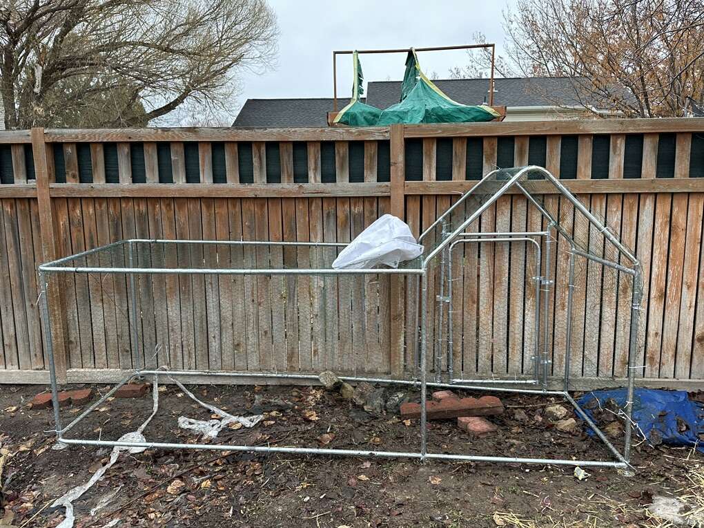 Chicken Run Livestock