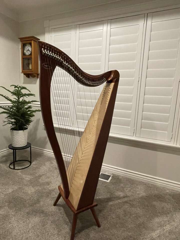 Dusty Strings Lever Harp