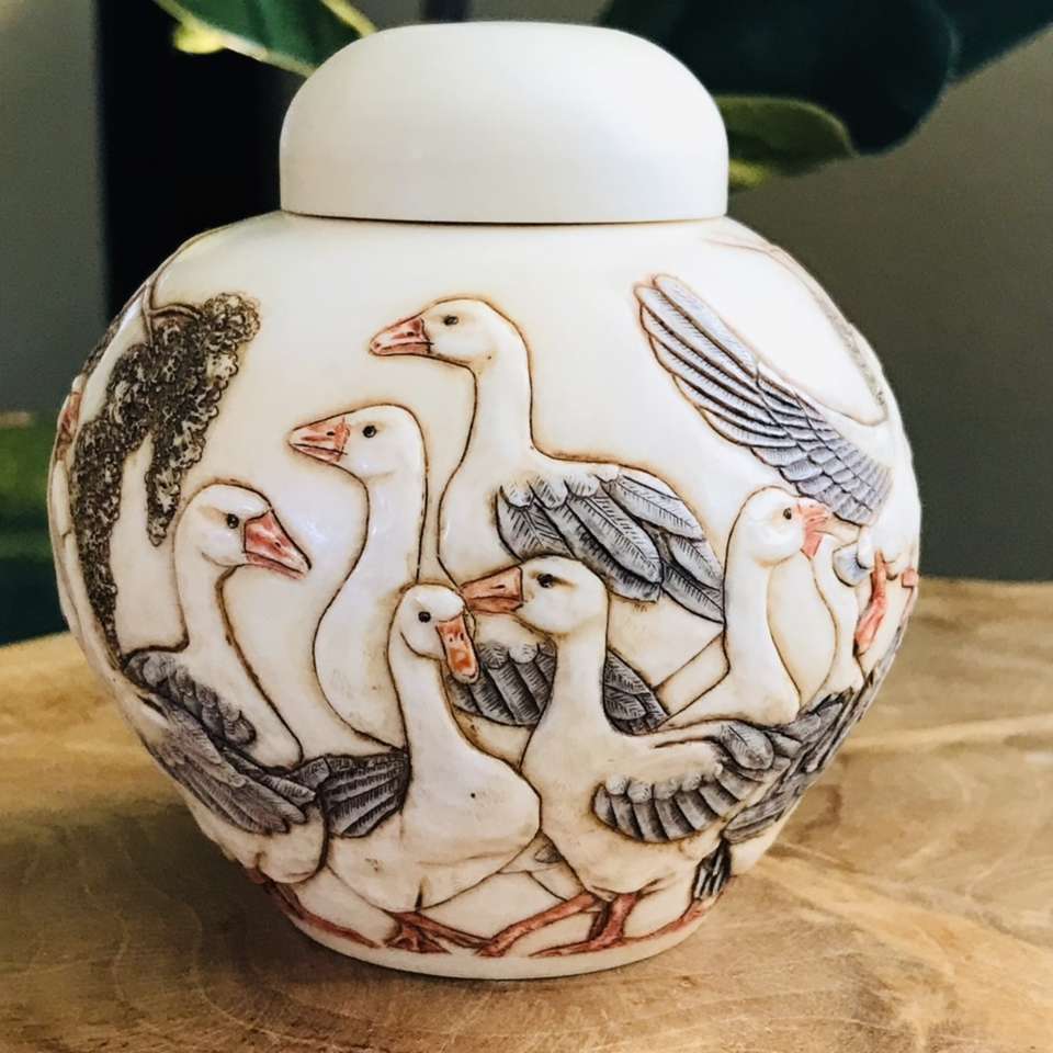 GEESE GOOSE BIRDS JARDINIA JALRGE IN A GAGGLE