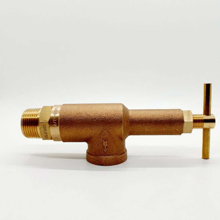 NEW PRESSURE RELIEF REGULATING VALVE 300 PSI 3/4