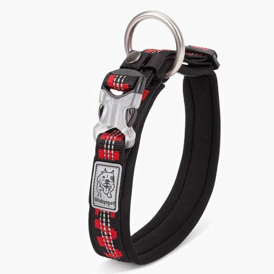BRAND NEW 3 M REFLECTIVE NEOPRENE DOG COLLAR