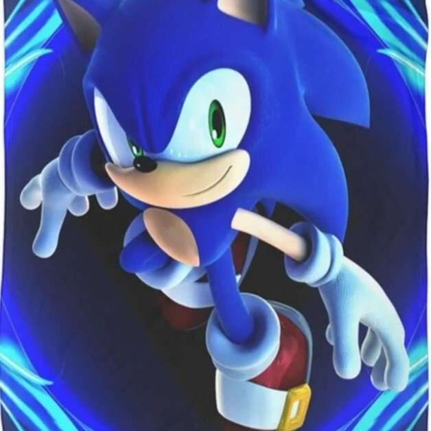 Anime Sonic The Hedge Hog Hollow Knight Blanket