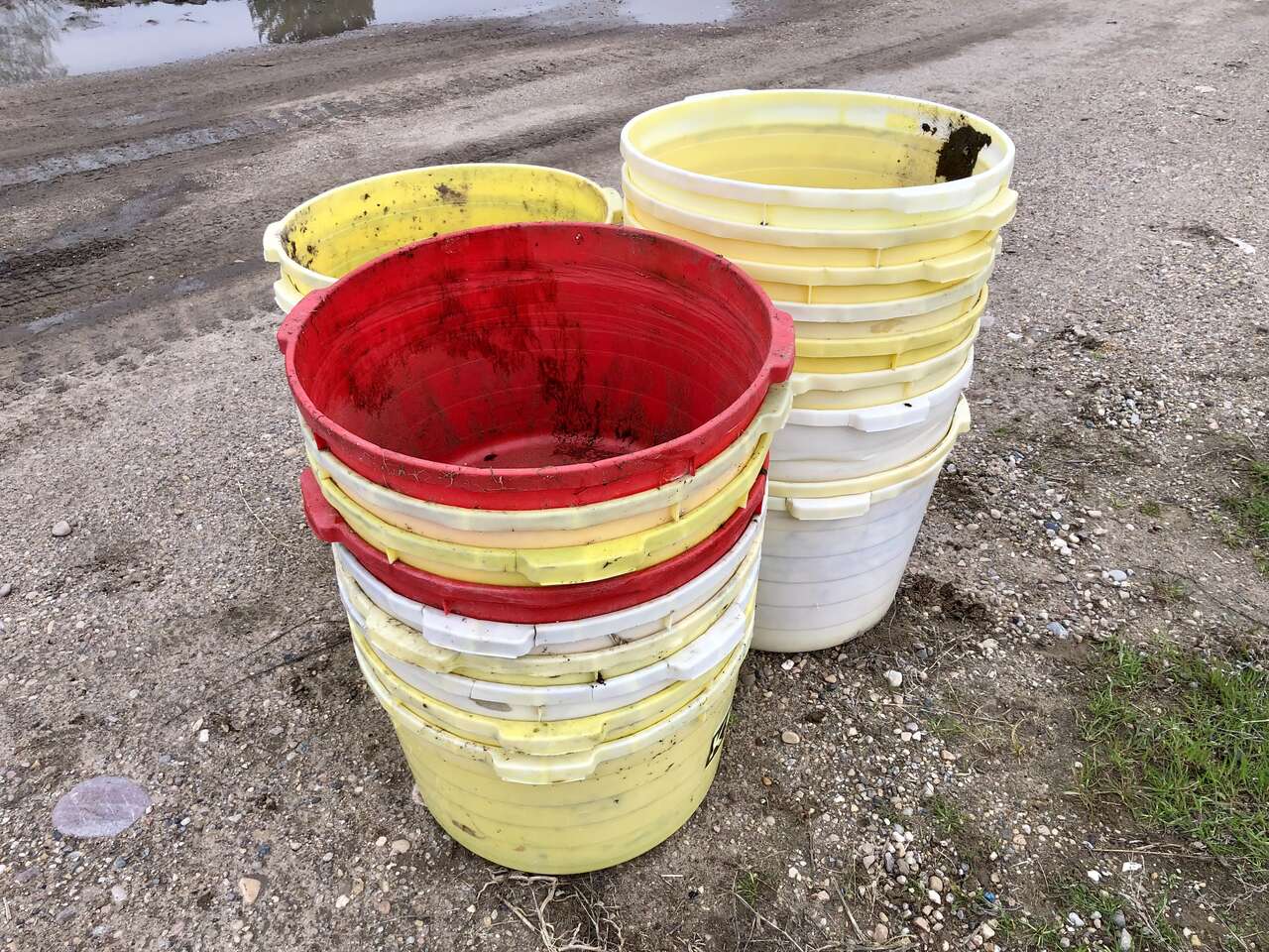 22 Gallon Tubs