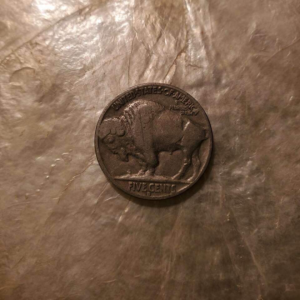 Buffalo nickel