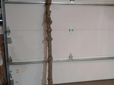 93" WEATHERED BURL PINE LOG