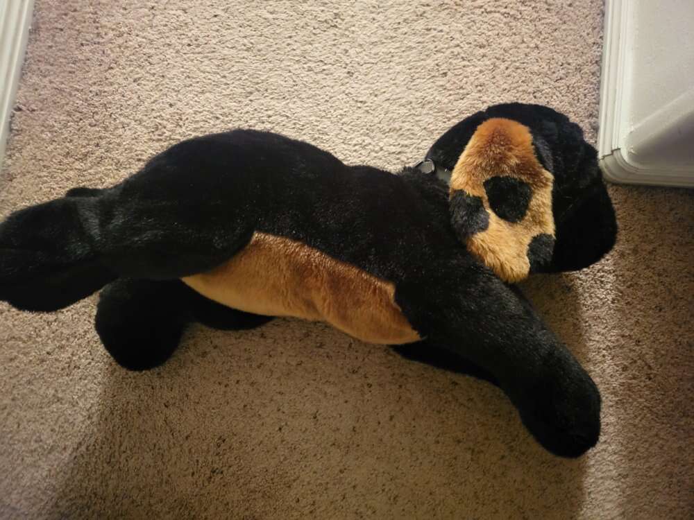 Large stuffed animal
