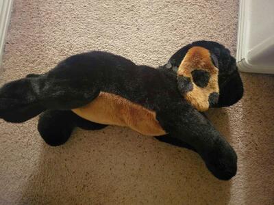 Large stuffed animal