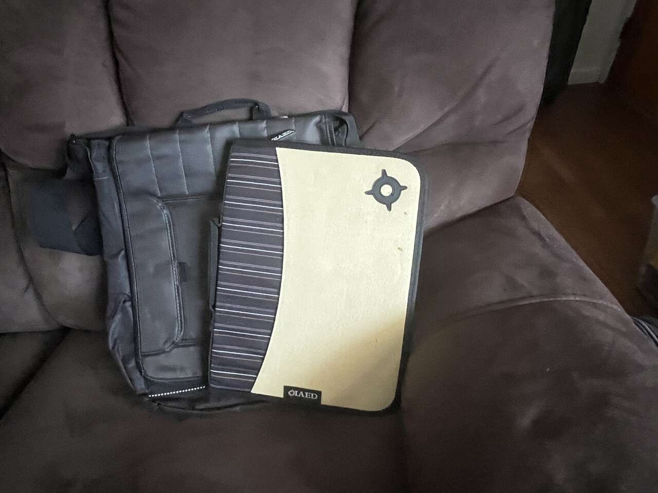 Day planner with carrier