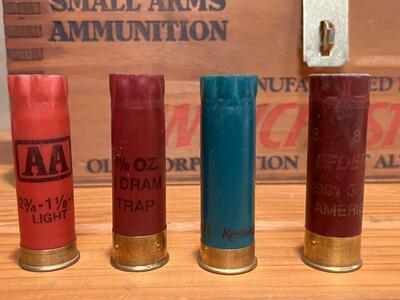 SHOTGUN SHELLS AND HULLS-12 GA