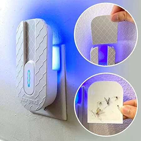 BugMD No Buzz Zone Refillable UV Bug Flying Insect Trap Adhesive Pad Refills - 6 Pack