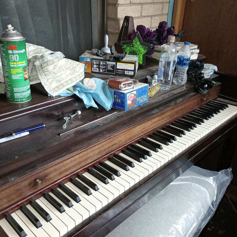 Pianos Musical Instruments